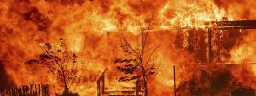 CASO LUSHSINGER MACKAY: JUZGADO DE TEMUCO RECHAZA AMPARO DE CONDENADO POR INCENDIO CON RESULTADO DE MUERTE | Abogados en Puerto Montt - Servicios y Asesorías Legales Puerto Montt