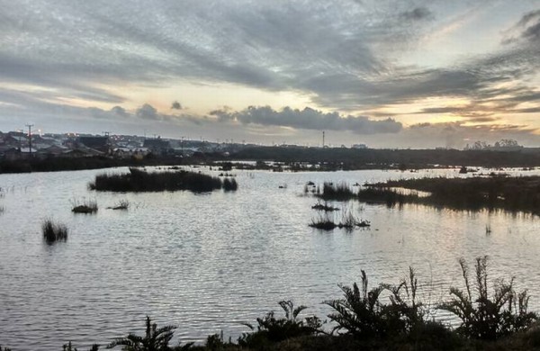 CORTE SUPREMA ACOGE RECURSO DE PROTECCIÓN Y ORDENA MEDIDAS DE PROTECCIÓN DE HUMEDAL EN PUERTO MONTT | Abogados en Puerto Montt - Servicios y Asesorías Legales Puerto Montt