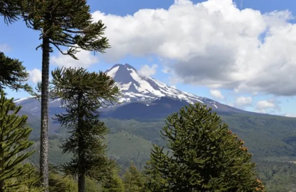 Corte Suprema declara que Bienes Nacionales no puede entregar predios privados a comunidad indígena | Abogados en Puerto Montt - Servicios y Asesorías Legales Puerto Montt