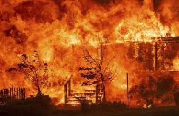 CASO LUSHSINGER MACKAY: JUZGADO DE TEMUCO RECHAZA AMPARO DE CONDENADO POR INCENDIO CON RESULTADO DE MUERTE | Abogados en Puerto Montt - Servicios y Asesorías Legales Puerto Montt
